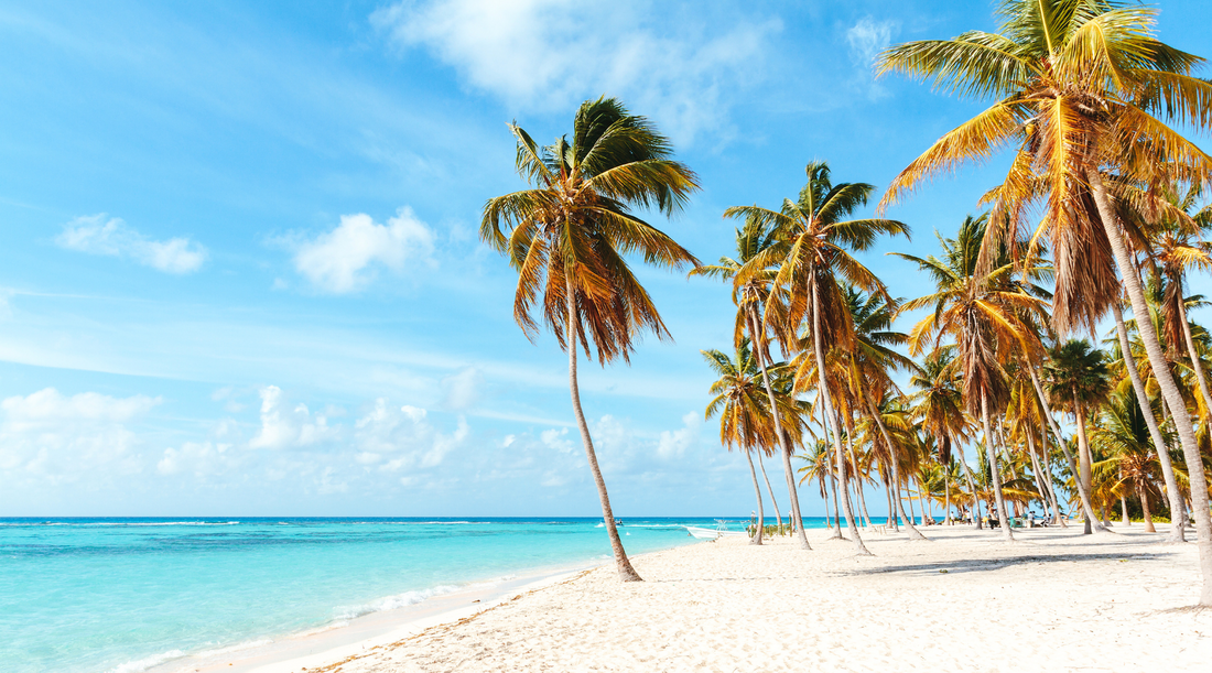 palmen_und_strand_mit_blauen_himmel