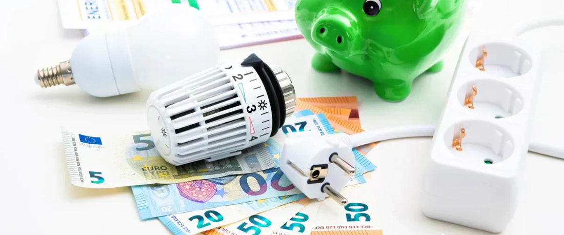 Energie sparen im Haushalt: Euro-Geldschein, Stromstecker und Heizungsthermostat im Check