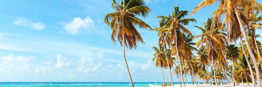 Traumstrand mit Palmen und Meer – entspannt buchen beim besten Pauschalreise-Anbieter